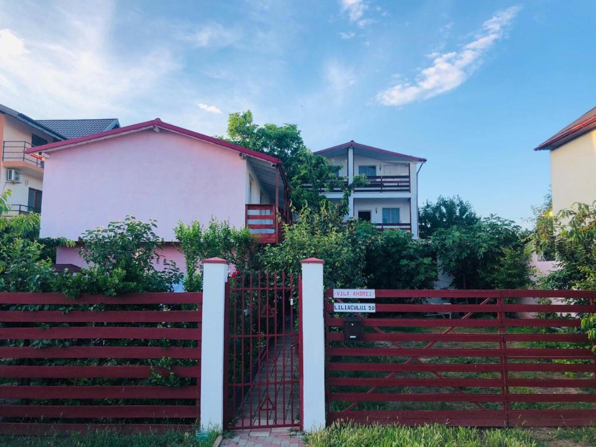 Отель Casa Andrei Костинешти Экстерьер фото